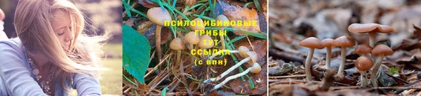 тгк Алексеевка