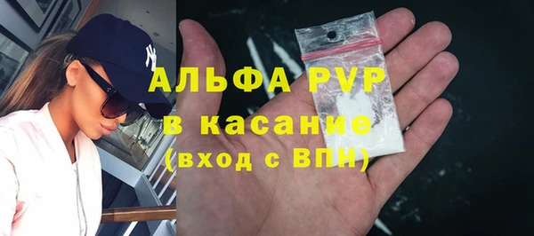 СК Алзамай