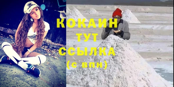 соль ск Алексин