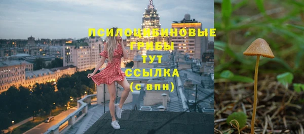 СК Алзамай