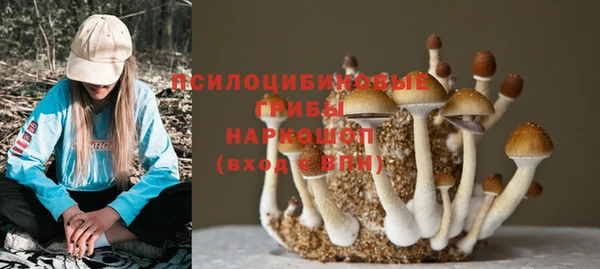 СК Алзамай