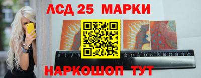 гашик Будённовск