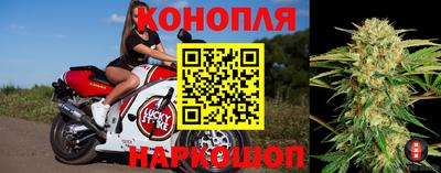 гашик Будённовск