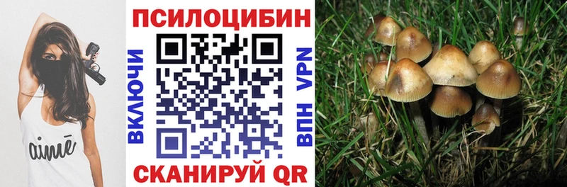 Псилоцибиновые грибы MAGIC MUSHROOMS  магазин  наркотиков  Кимры 