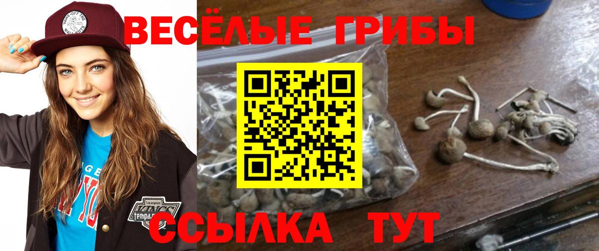 Галлюциногенные грибы Psilocybe  Вход с VPN  Кимры 