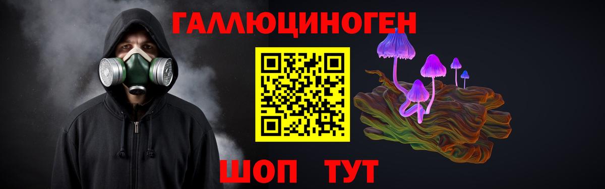 Псилоцибиновые грибы MAGIC MUSHROOMS Кимры